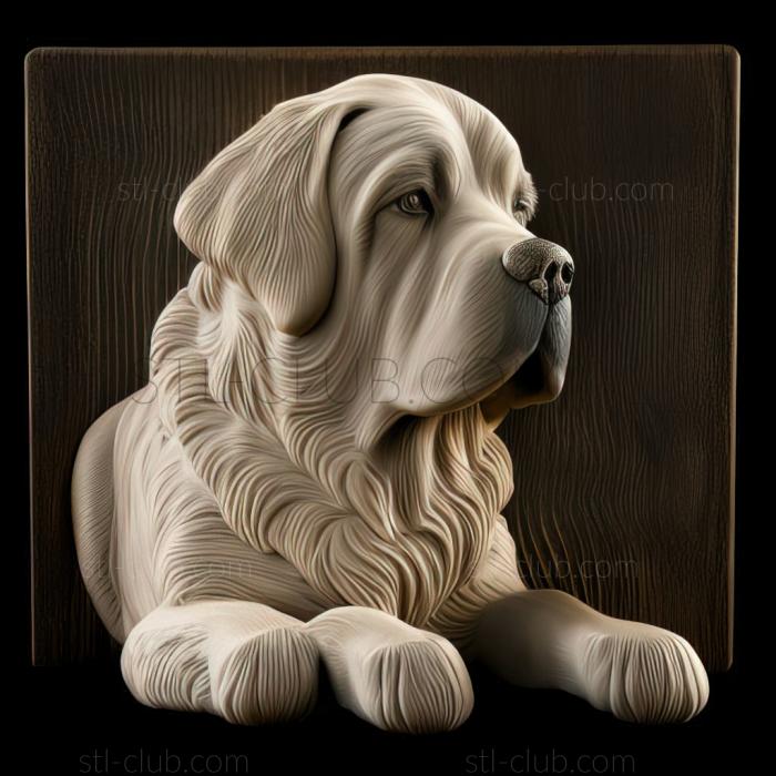 st Pyrenean Mastiff dog